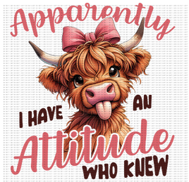 Apparently I Have An Attitude