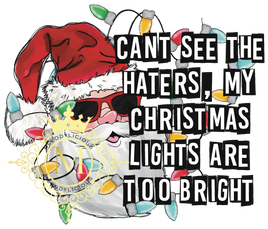 Christmas Lights Are Too Bright