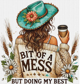 A Bit Of A Mess Western