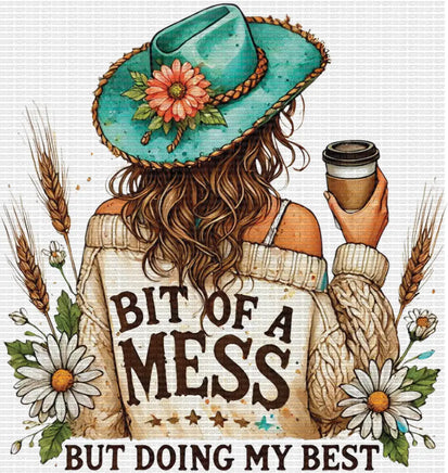 A Bit Of A Mess Western