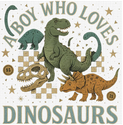 A Boy Who Loves Dinosaurs