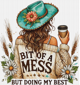 A Bit Of A Mess Western