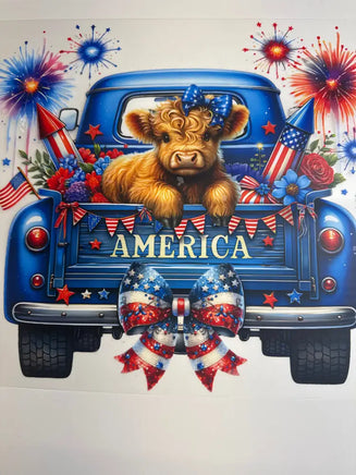 America truck DD