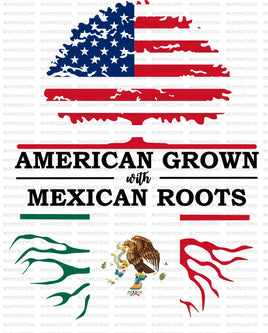 american grown with mexican roots kid 8 in
