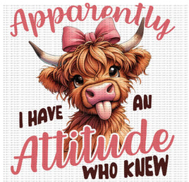 Apparently I Have An Attitude