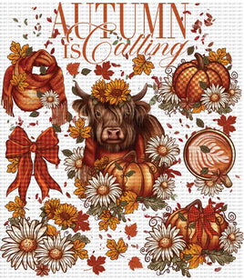 Autumn Is Calling