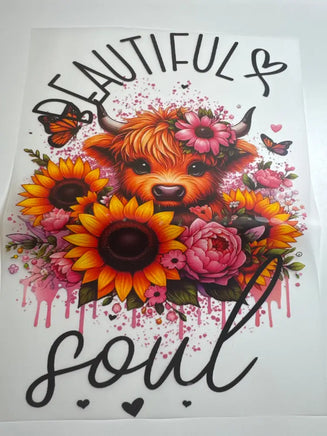 Beautiful soul DD