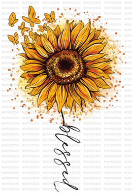 blessed sunflower
