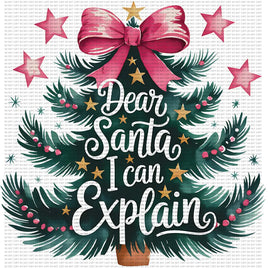Dear Santa I can explain