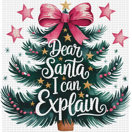 Dear Santa I can explain