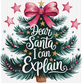 Dear Santa I can explain