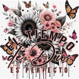 El Tiempo De Dios Es Perfecto