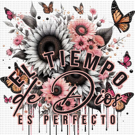 El Tiempo De Dios Es Perfecto