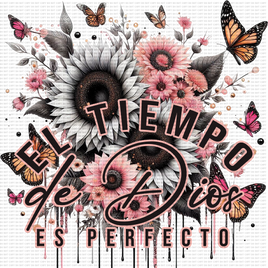 El Tiempo De Dios Es Perfecto