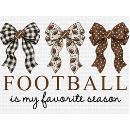 Football is my favorite season