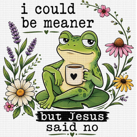 I could be meaner but Jesus said NO