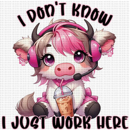 I Don’t Know I Just Work Here