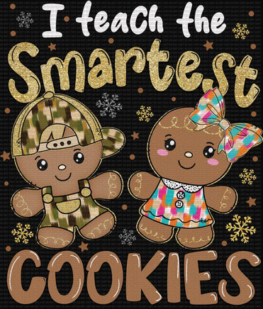 I teach the smartest cookies - Adult 10.5 in / DTF / white