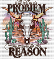 If I'm The Problem /sleeve