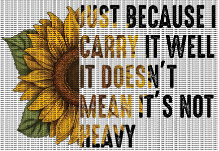 Just Because I Carry It Well