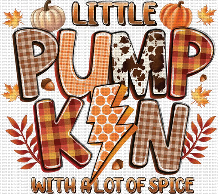 Little pumpkin with a lot of spice