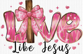 Love Like Jesus Pink