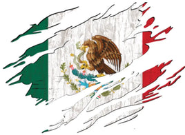 Mexico ripped flag