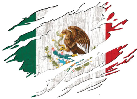 Mexico ripped flag