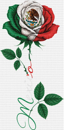 Mexico Rose