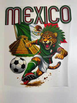 Mexico tiger soccer DD