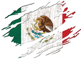 Mexico ripped flag