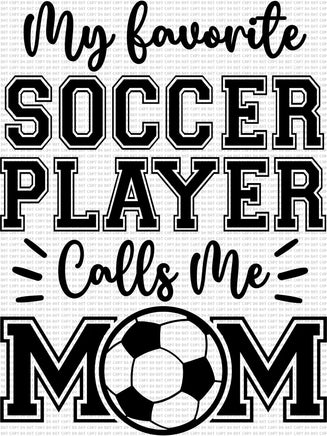 My Favorite Soccer Player