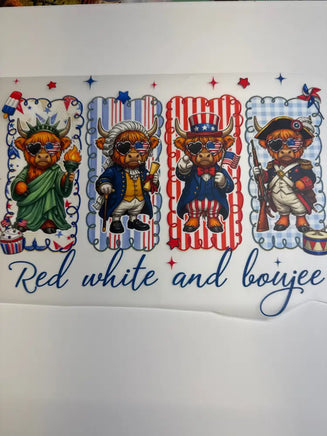 Red white and blue DD