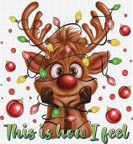 This Is How I Feel Reindeer
