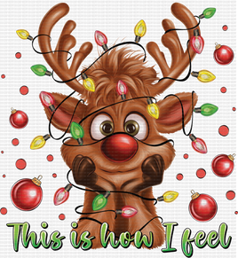 This Is How I Feel Reindeer