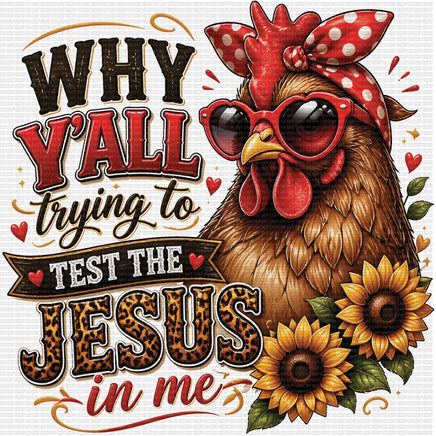 Why ya’ll trying to test the Jesus in me