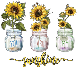 you are my sunshine